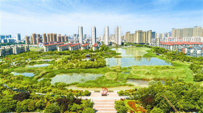 淮北全面林长制 绿水青山入画来